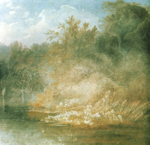 Forest Scene on the Lehigh, Karl Bodmer, 1832